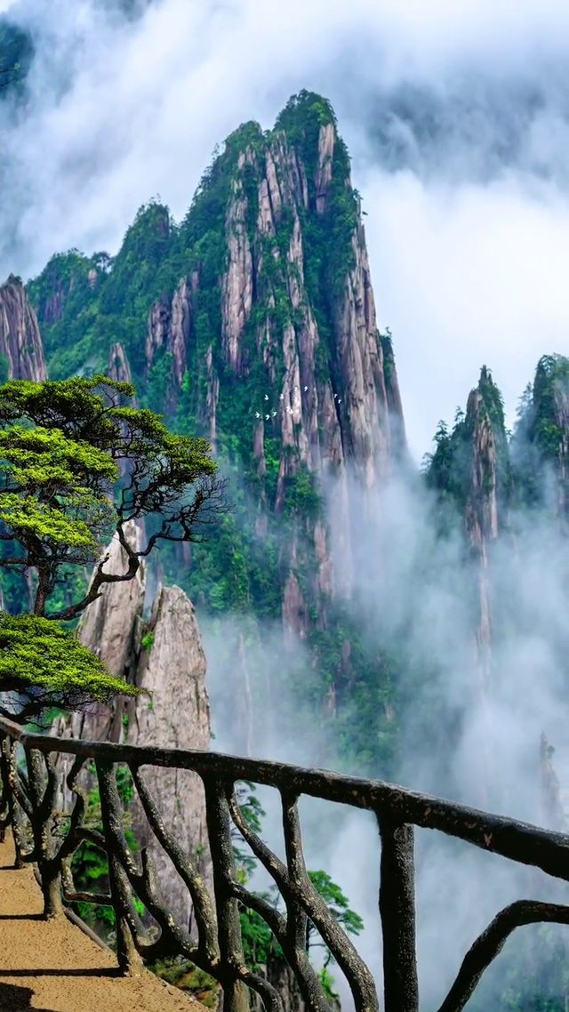 4k高清黄山美景