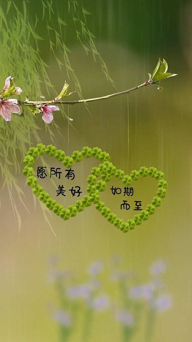 愿所有美好如期而至