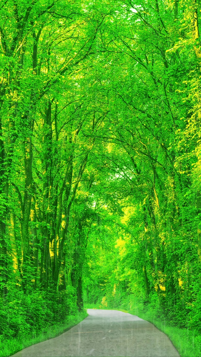 静听雨声，净化心灵