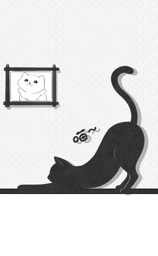 【动态壁纸】猫猫瑜伽