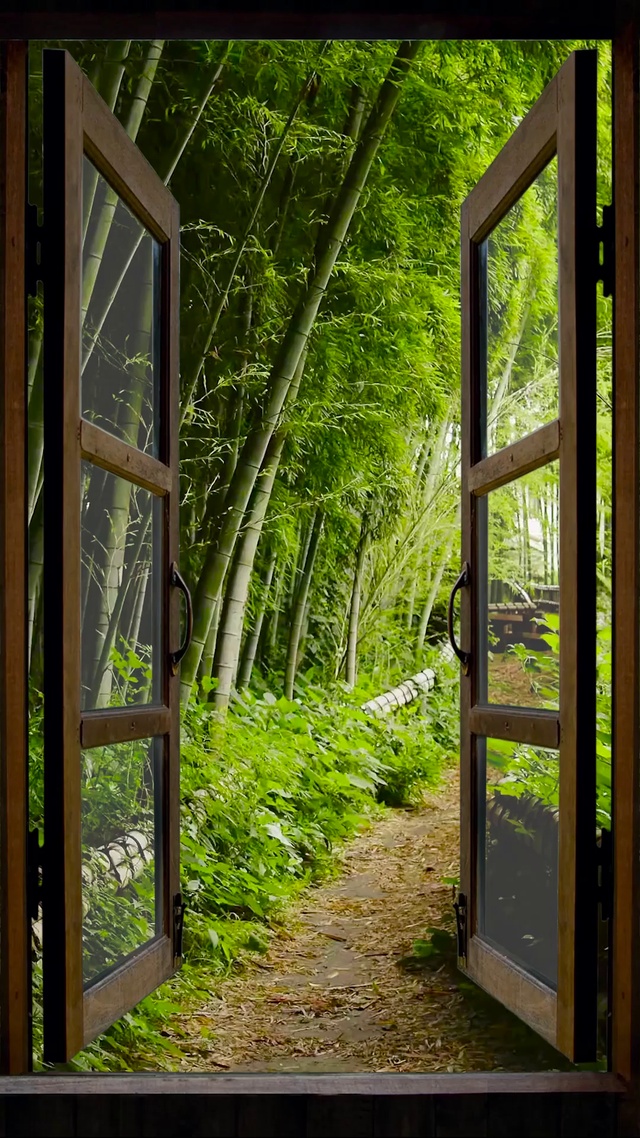 窗外的竹林小路
