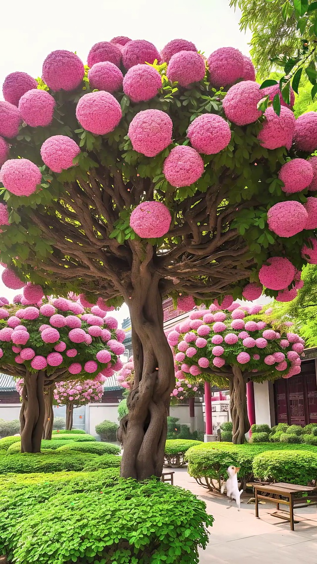 唯美粉色流苏树