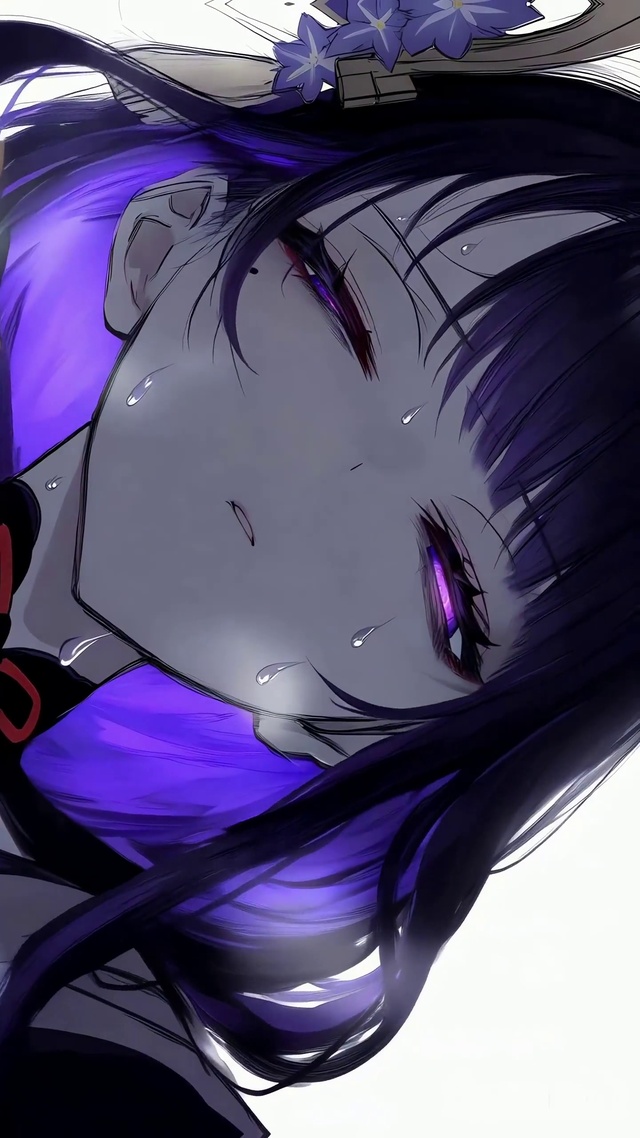 雷电将军/暗黑风