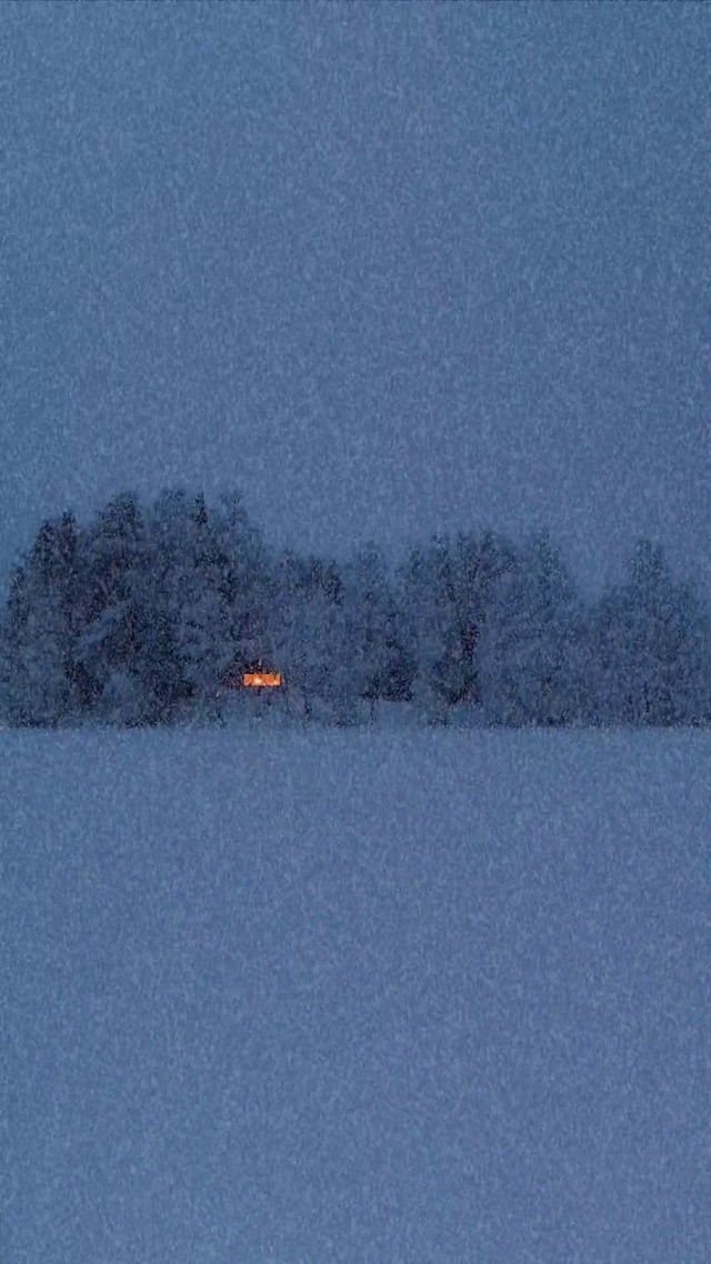 孤灯雪夜
