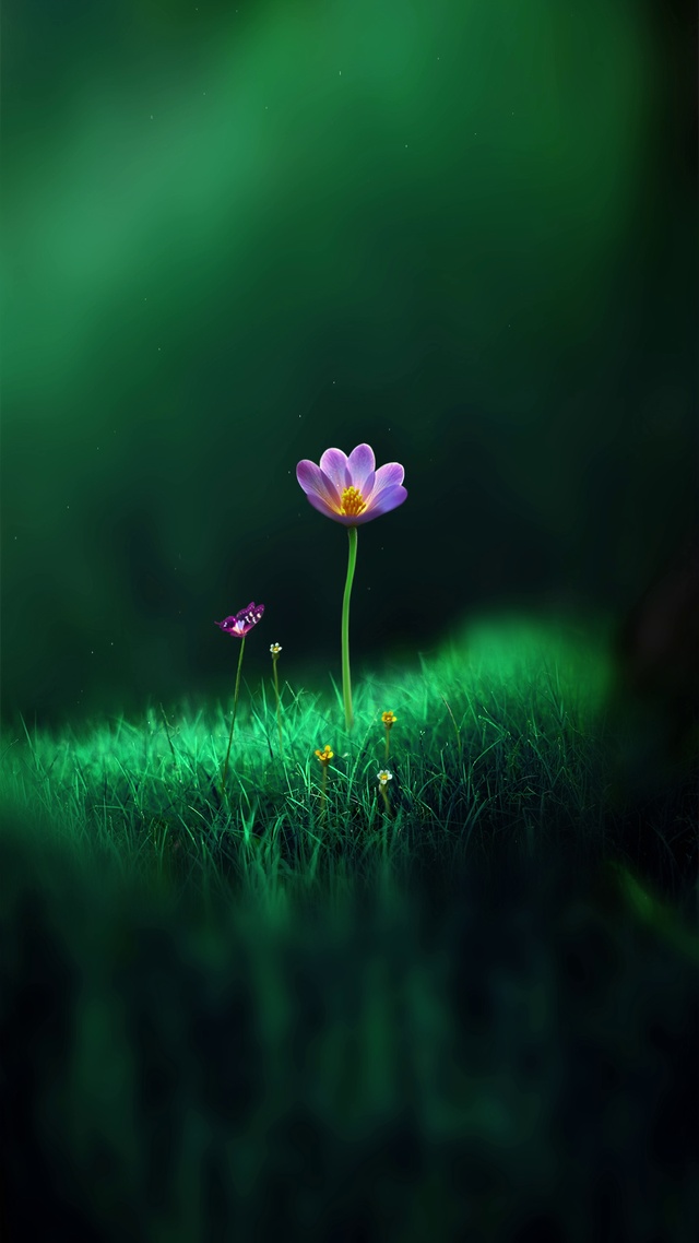 治愈壁纸