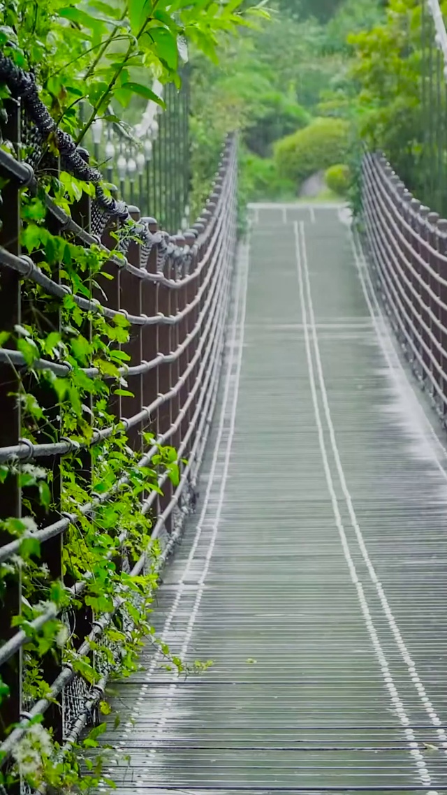 雨中吊桥