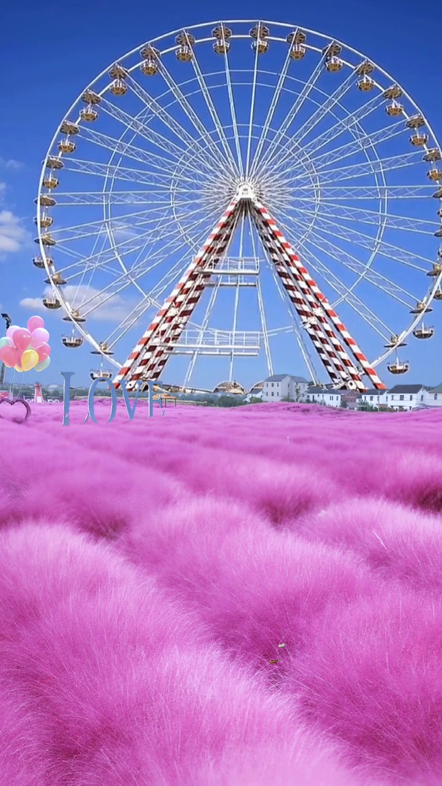 浪漫的摩天轮花海