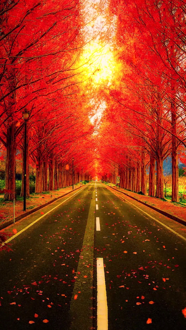 一念秋风起，一念相思长。