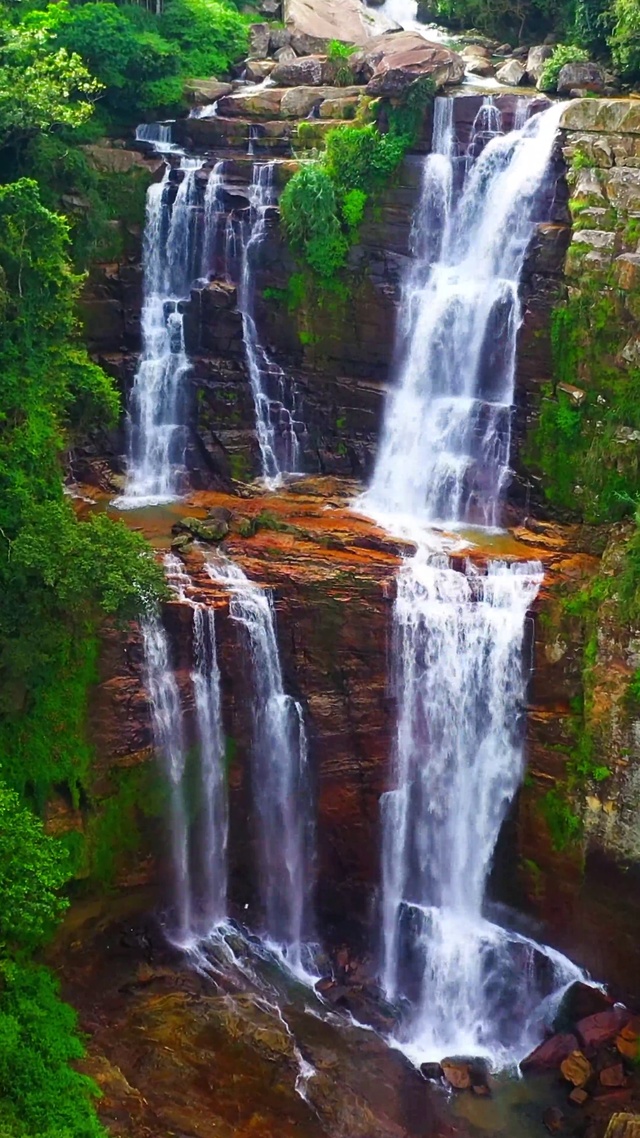 绿色护眼心情舒畅