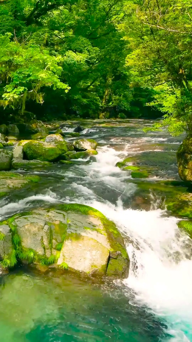 护眼绿林溪水流