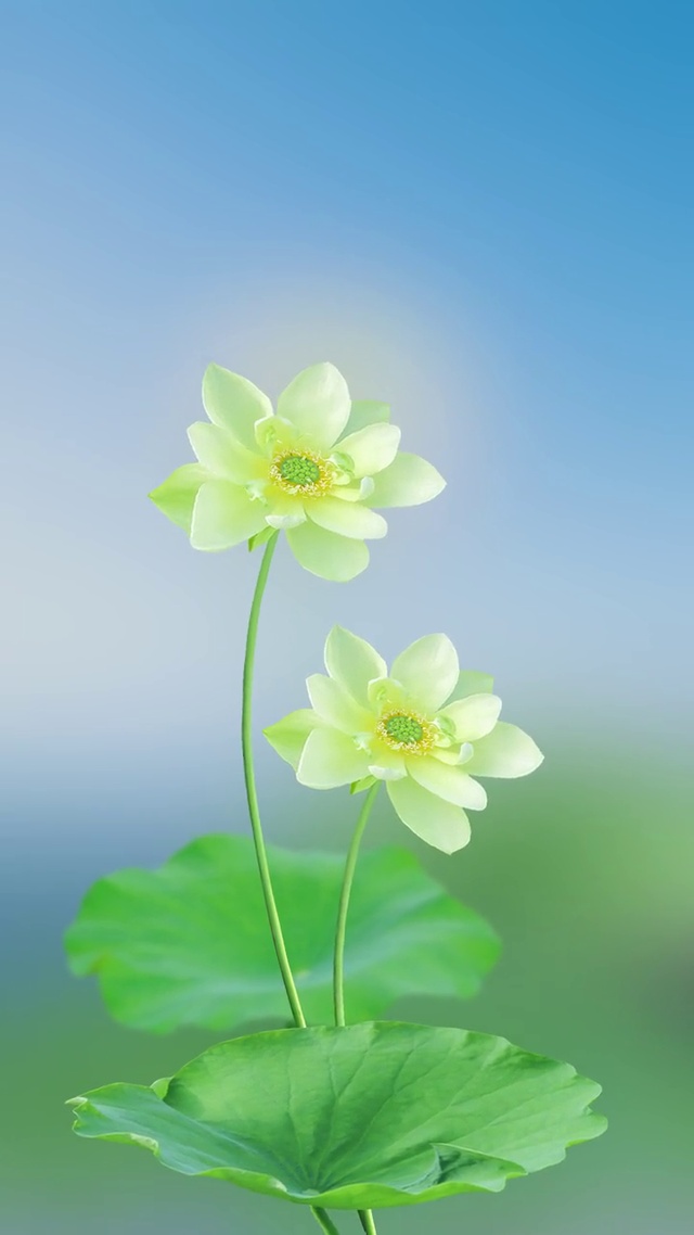 缠缠绵绵，好运连连。