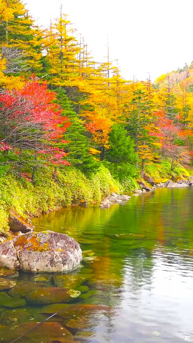 高山红叶湖