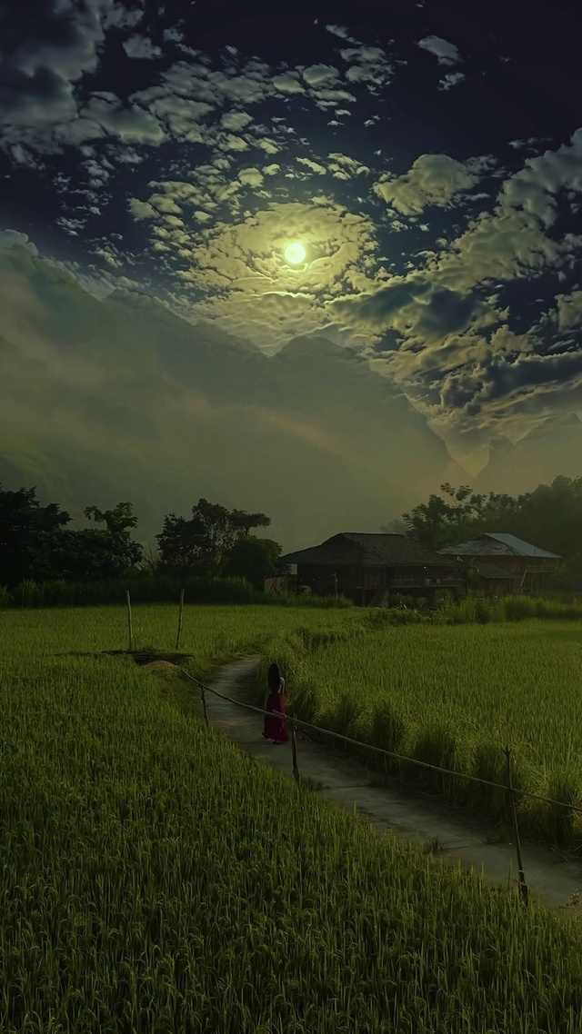唯美意境夜景
