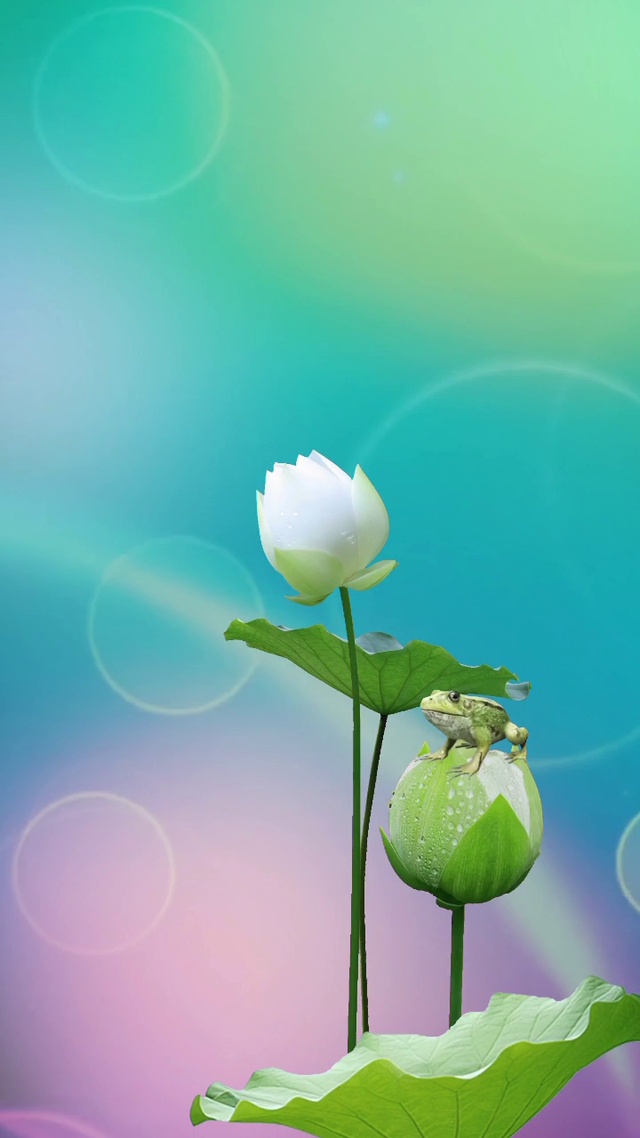 好运连连送给你