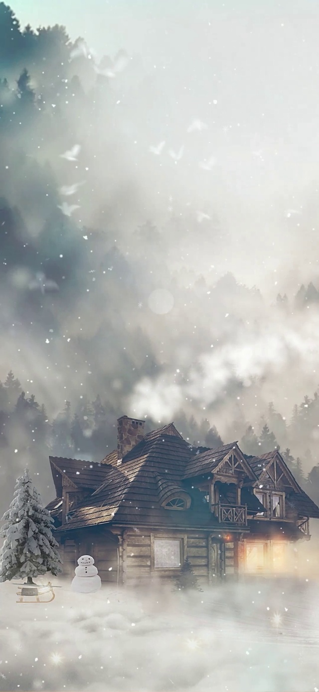 冬季雪景