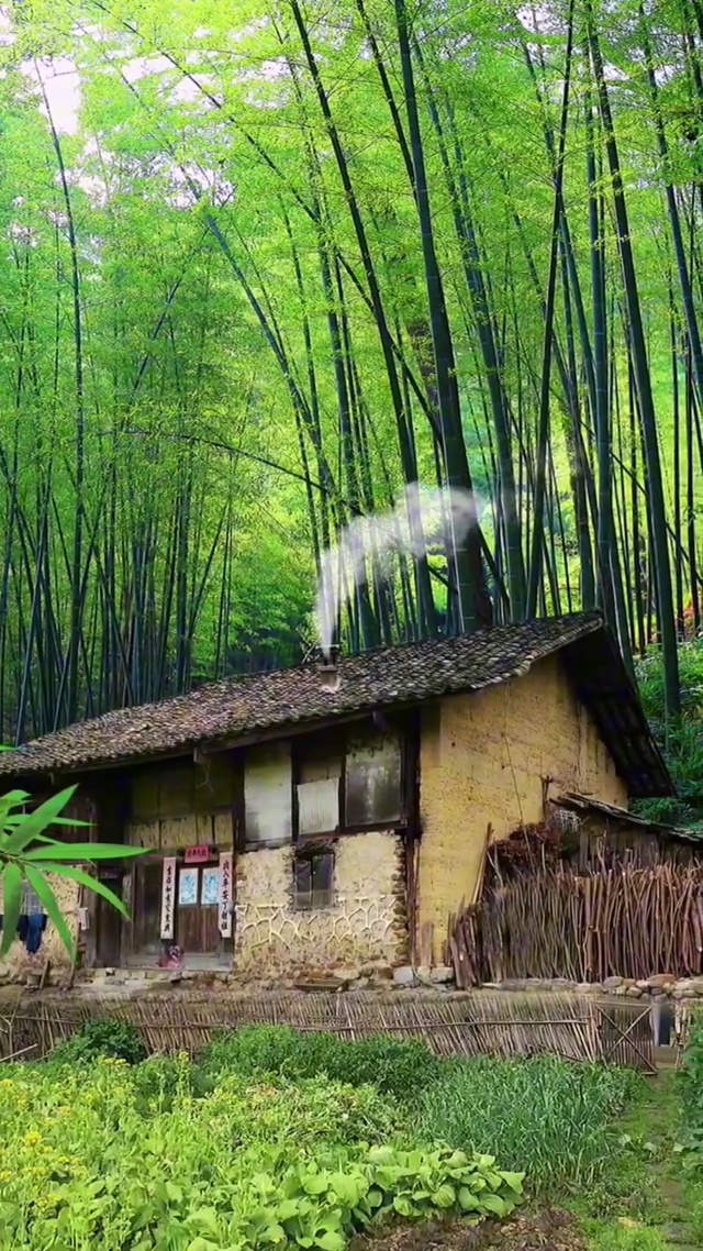 乡村风景