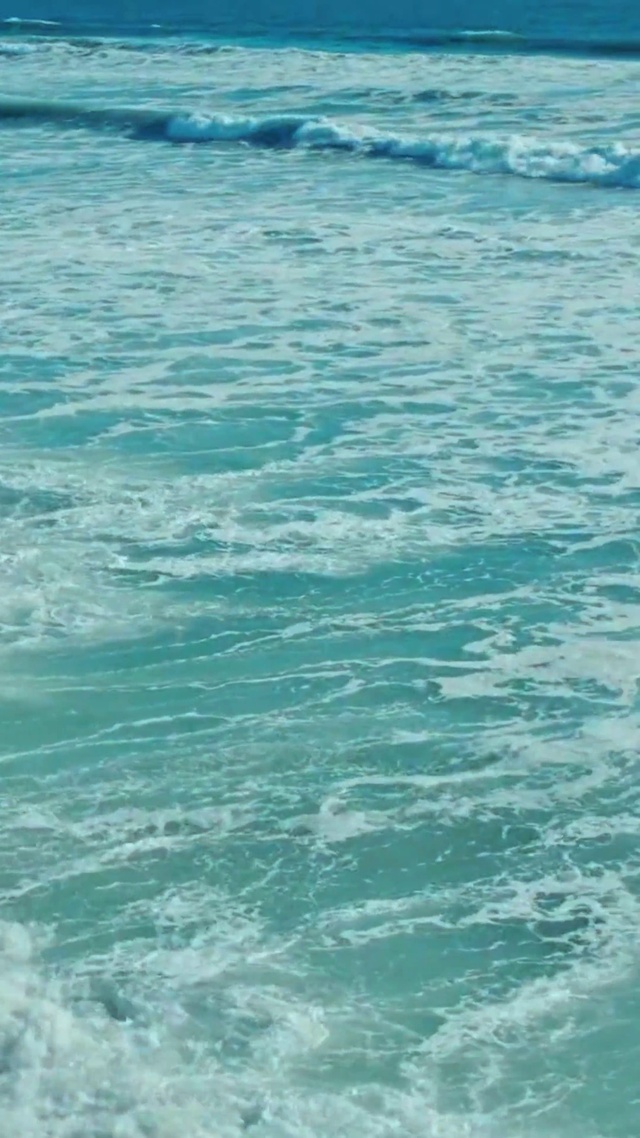 浪漫大海4K