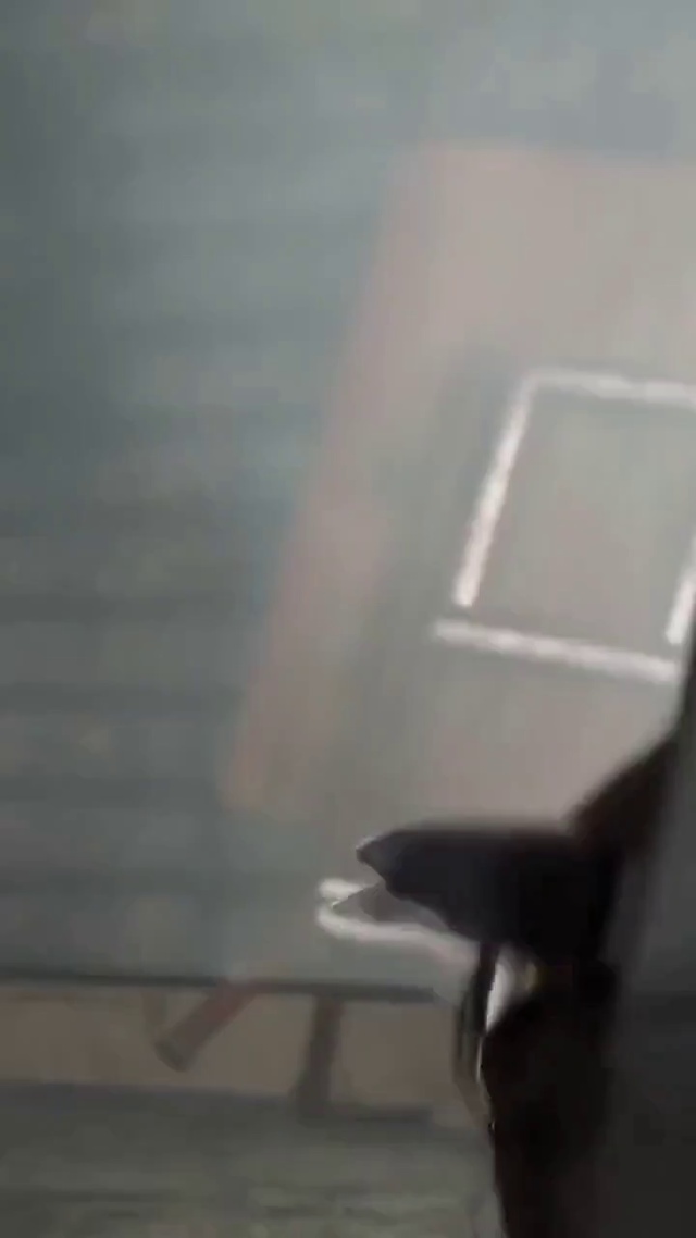 雄兵连女神合集