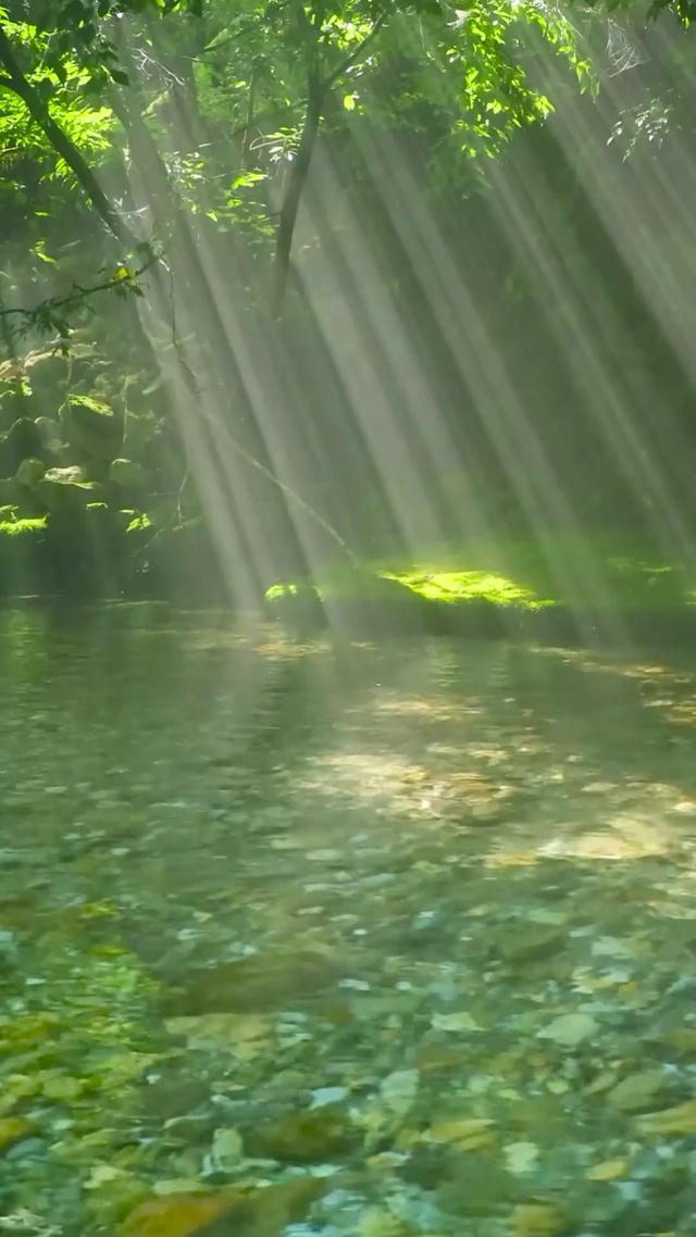 阳光雾气幽静清澈流水