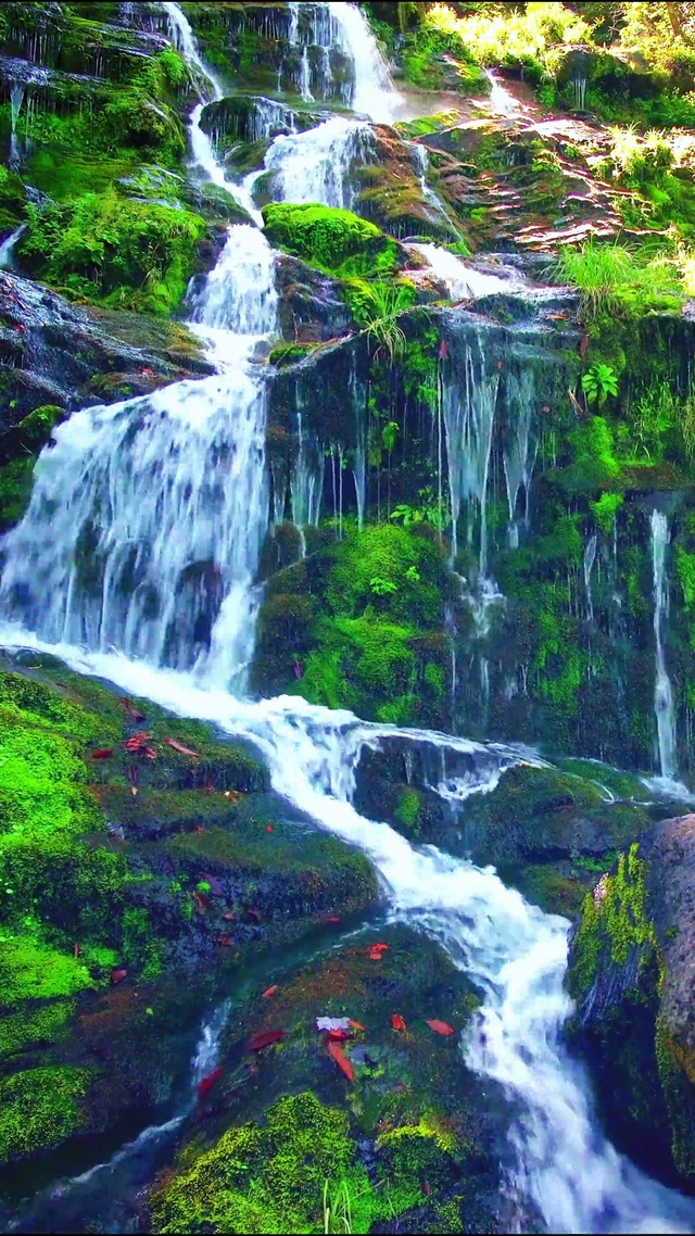 唯美山涧溪流4K