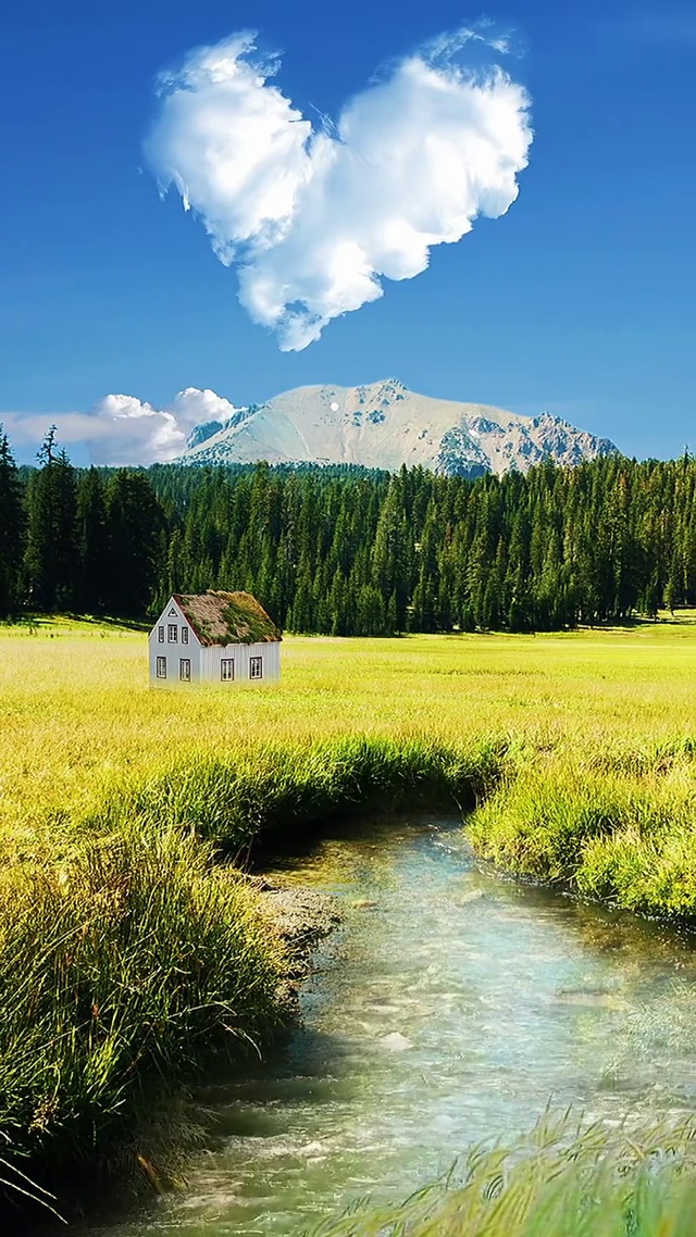 阳光正好，风很温柔，你很特别，我很喜欢。