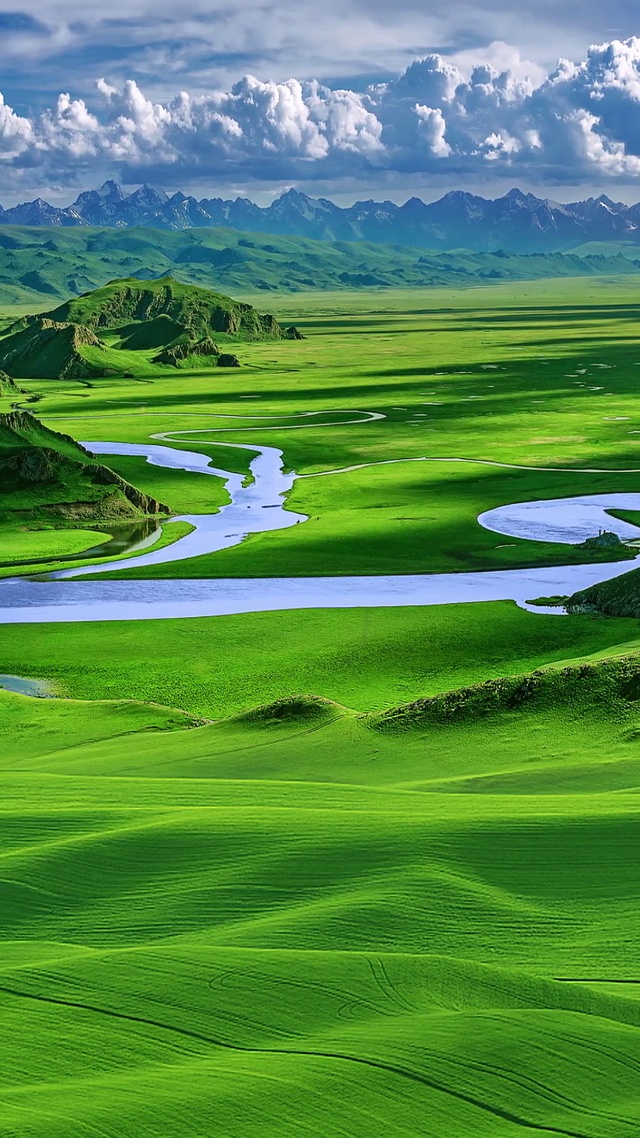 美丽的草原我的家