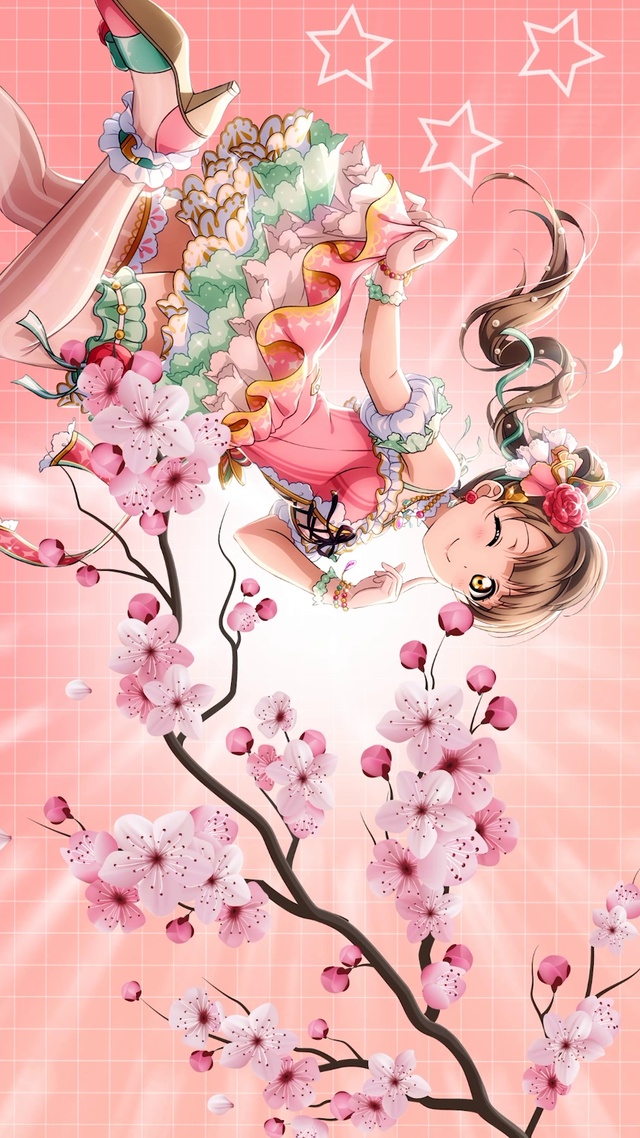 可爱南小鸟