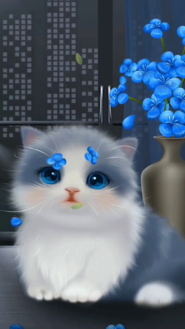 蓝白小猫咪