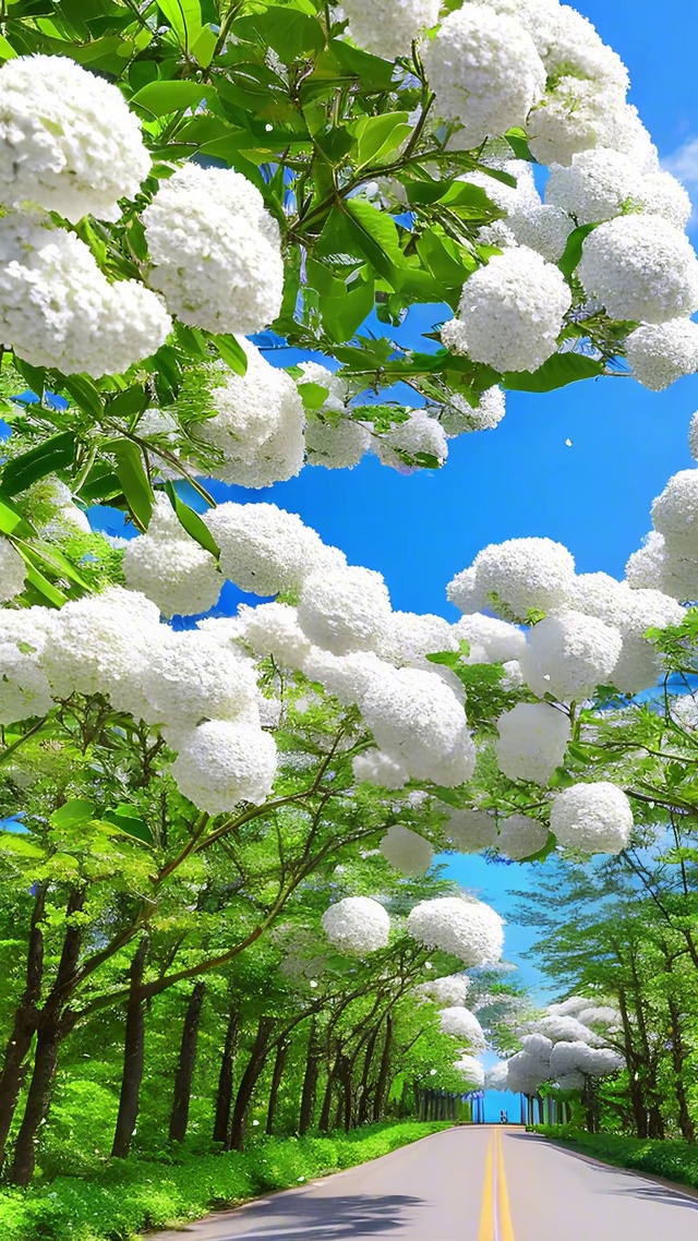 风很温柔，花很浪漫