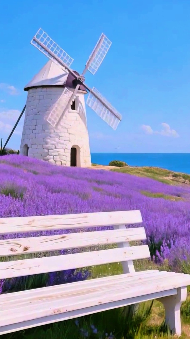 治愈薰衣草大风车4K