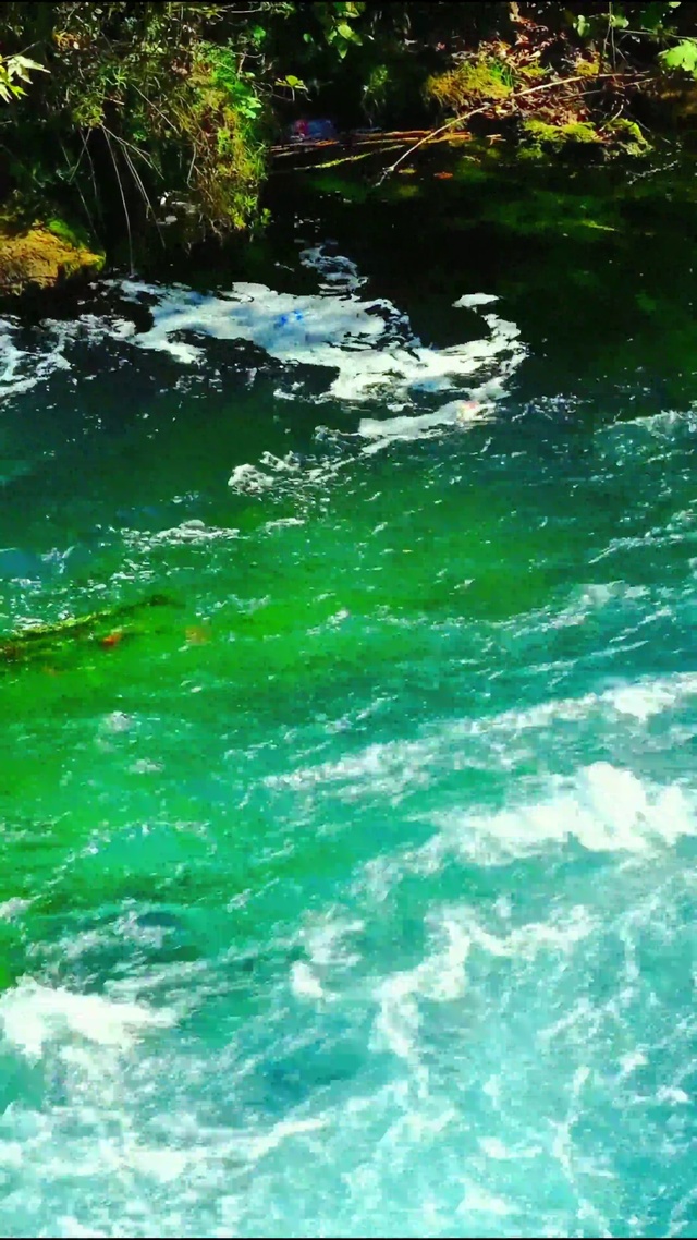 护眼绿林流水 4K