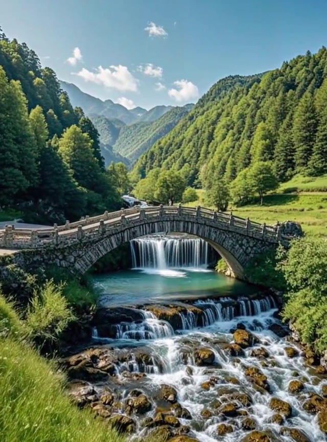 绿色清新自然护眼风景