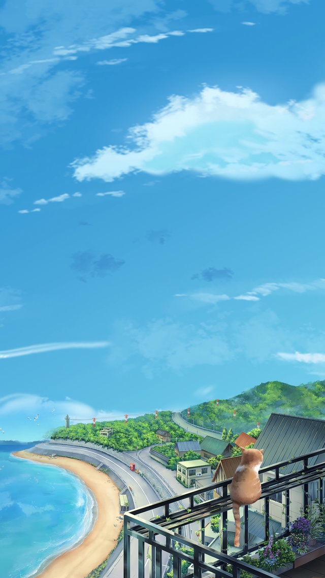 阳台猫咪海景2k