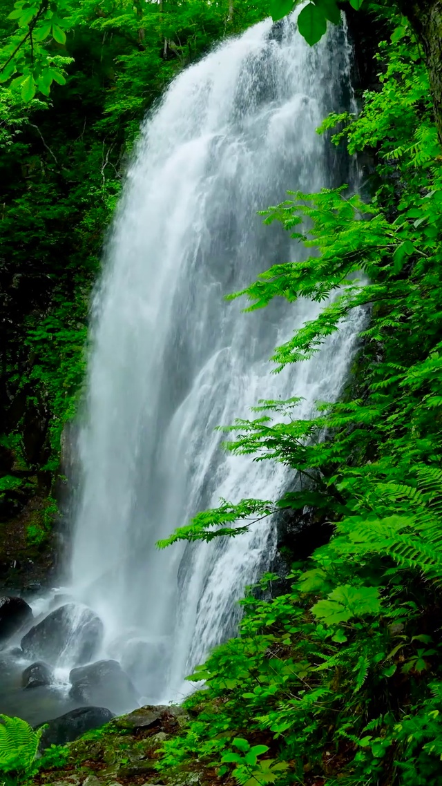 4K清凉绿林护眼瀑布