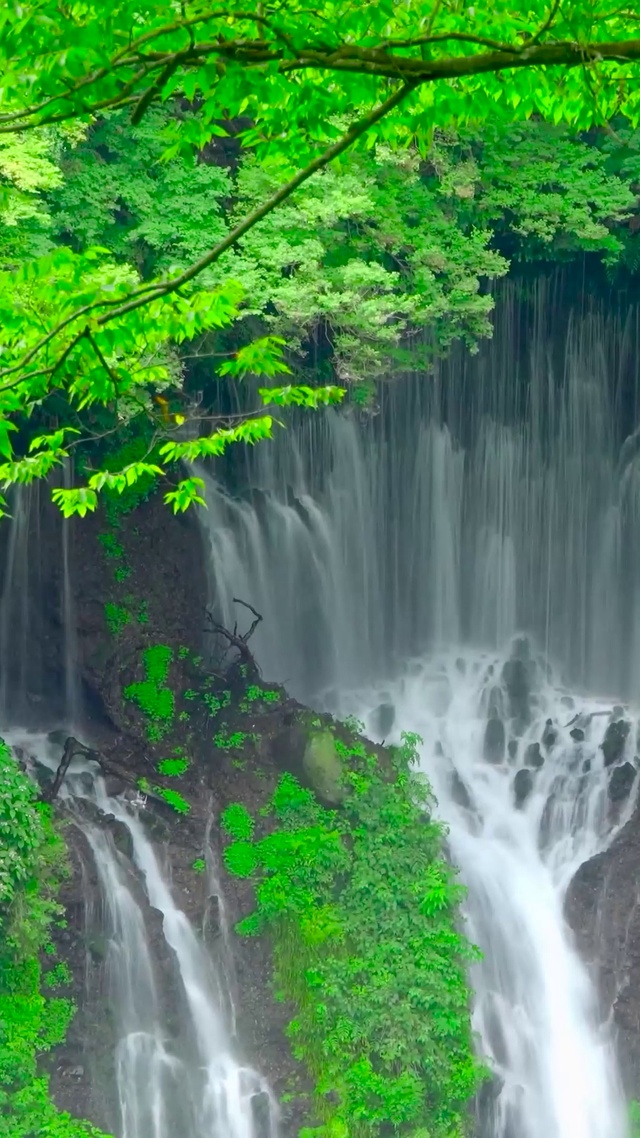 护眼绿林瀑布