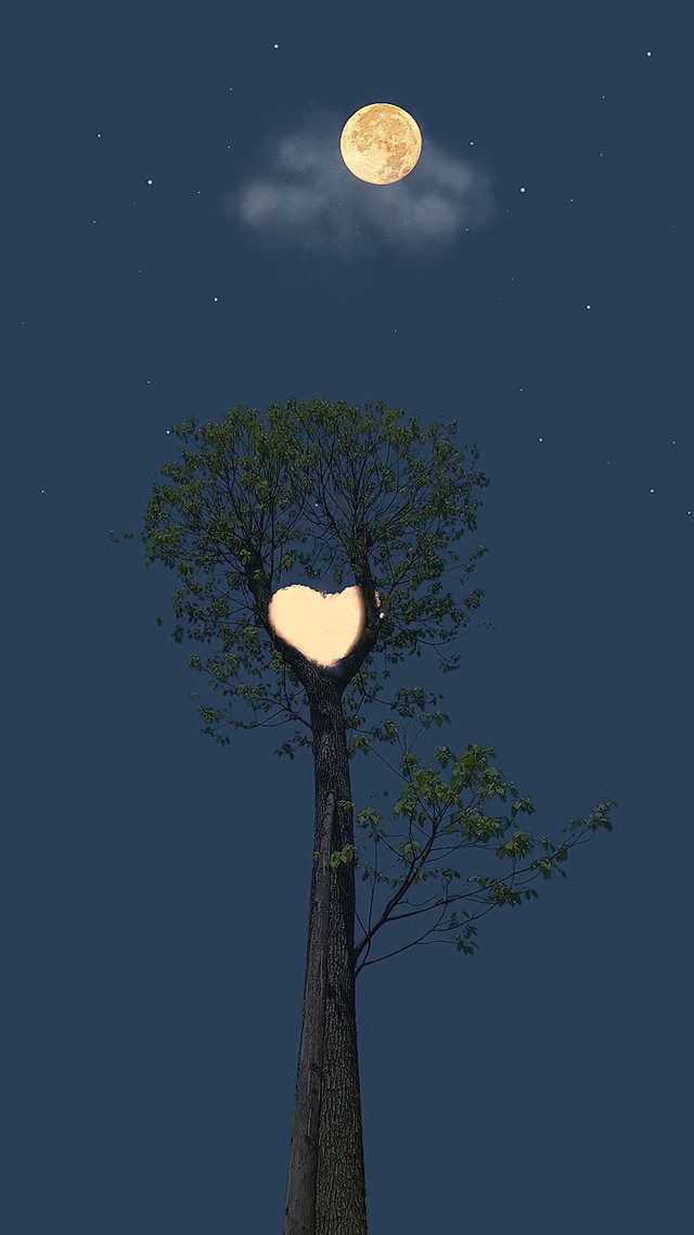 “风月好看，人间浪漫”