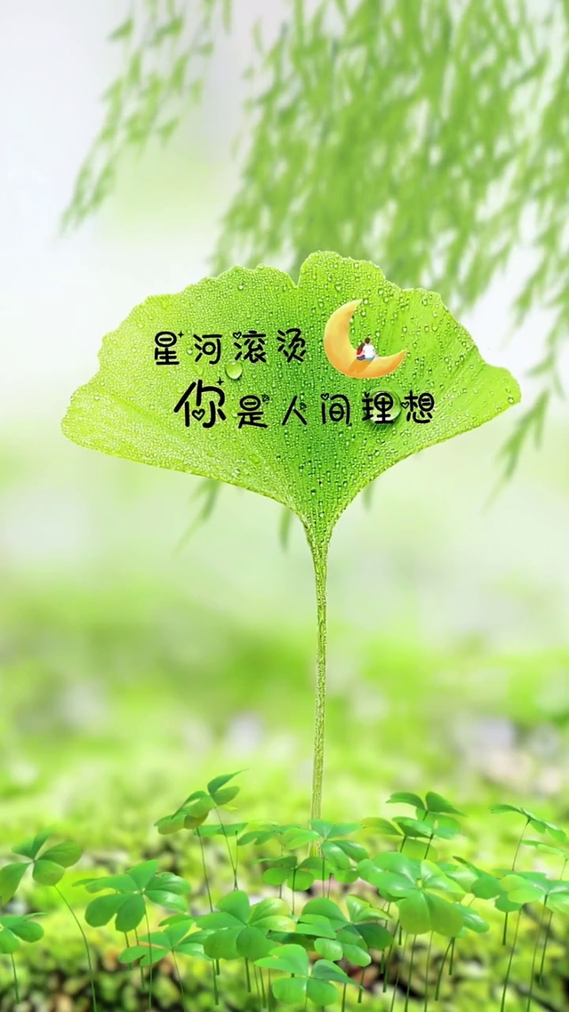 你是人间理想