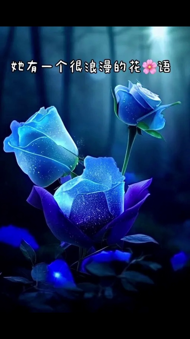 冰玫瑰花