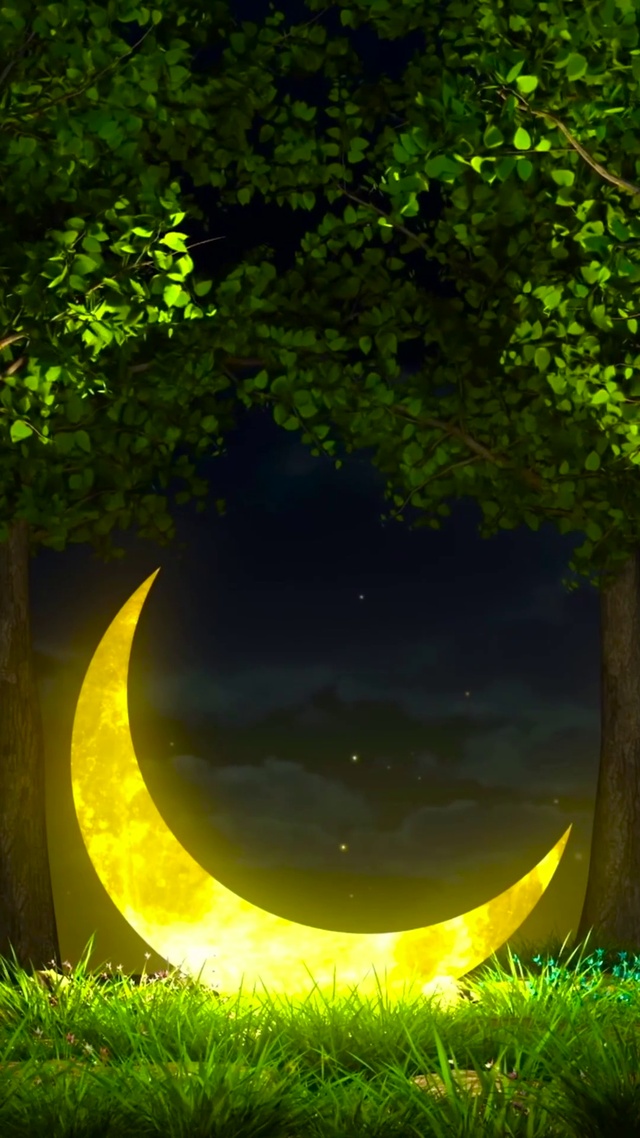 夜晚树林弯月(风景手机动态壁纸) - 风景手机壁纸下载 - 元气壁纸