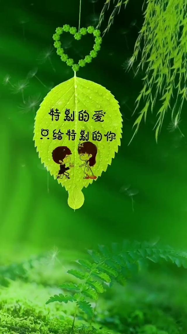 特别的爱只给特别的你