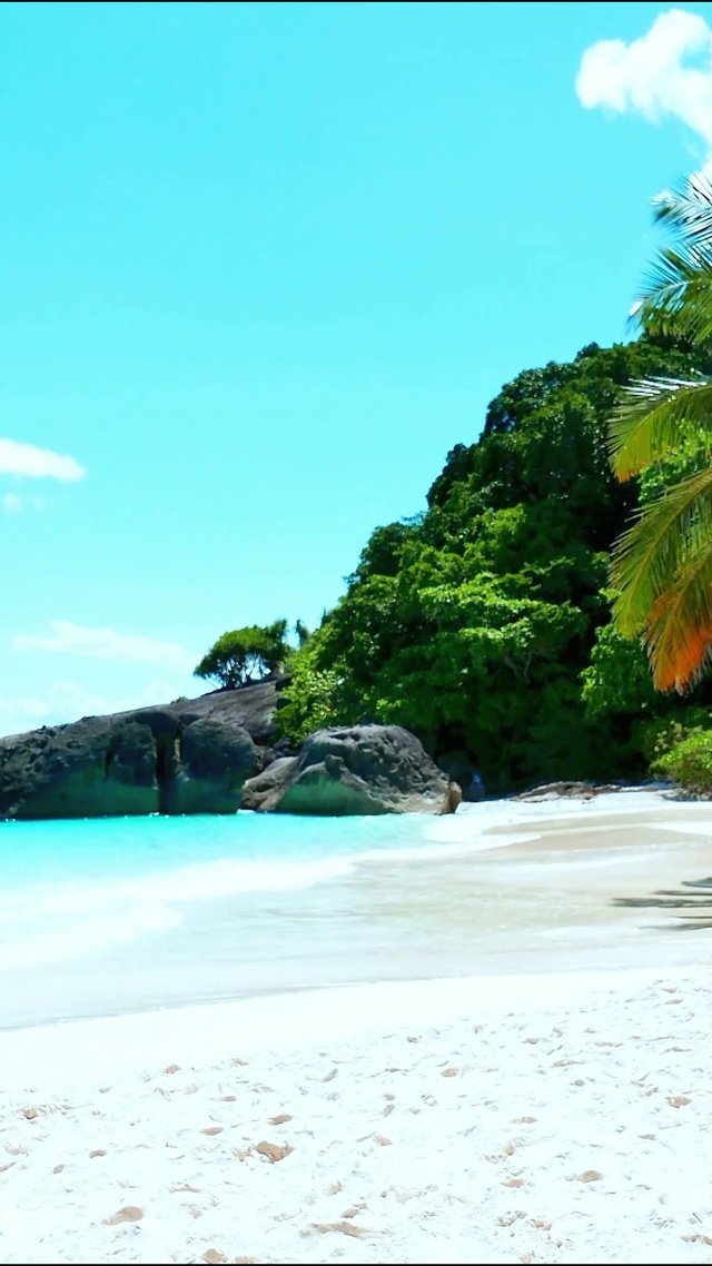 夏日阳光海滩 4K