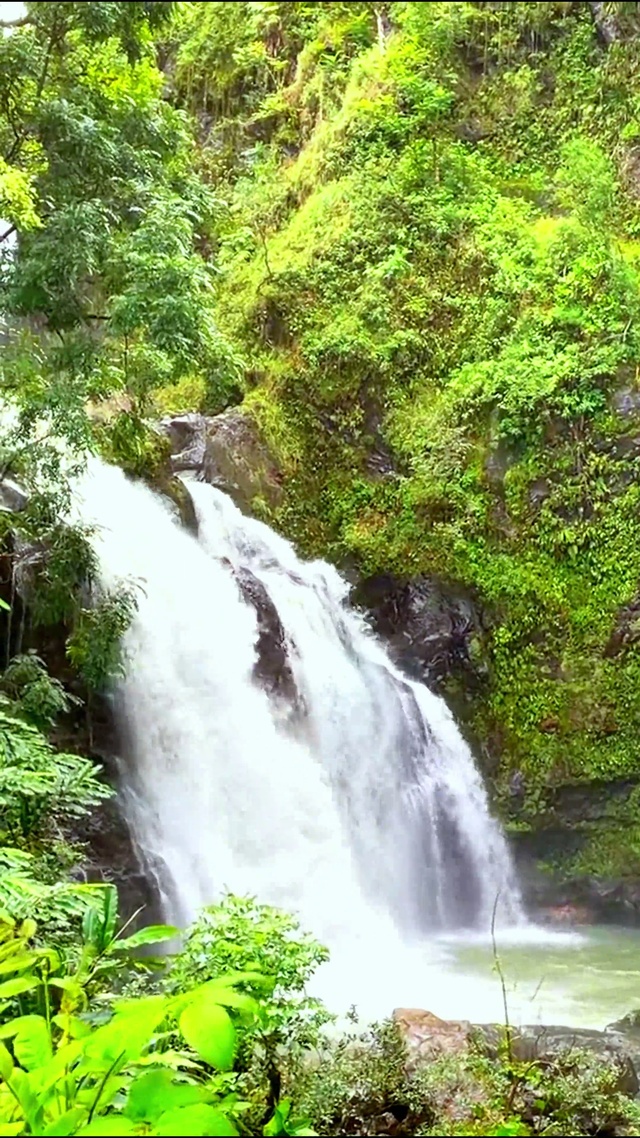 4K唯美山涧瀑布