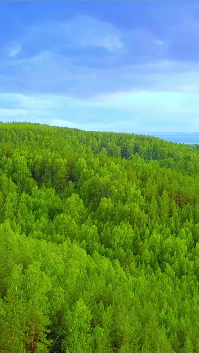 治愈护眼蓝天树林