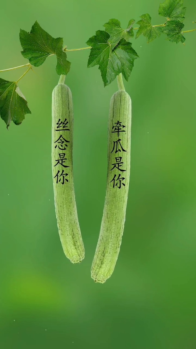 余生皆是你