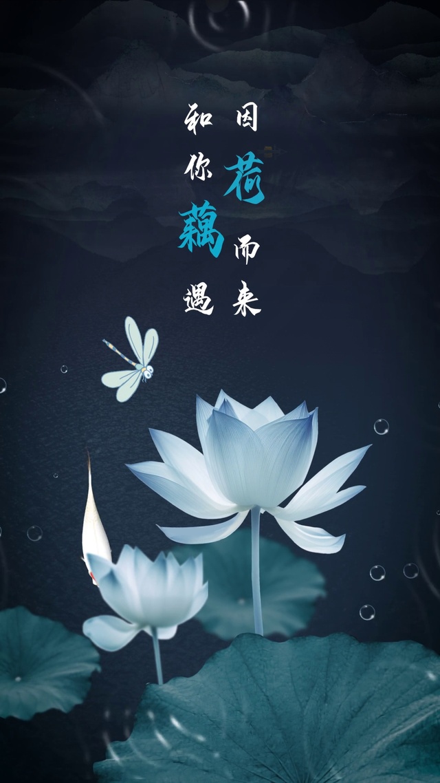 因“荷”而来 和你“藕”遇