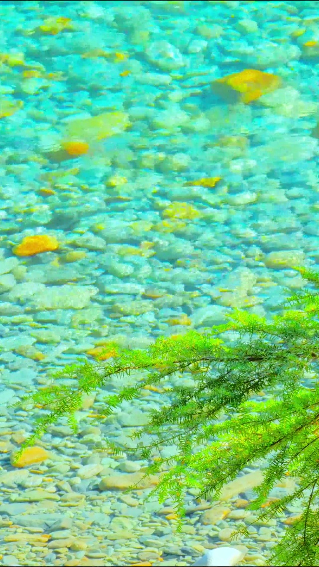 4K清澈治愈小河流水