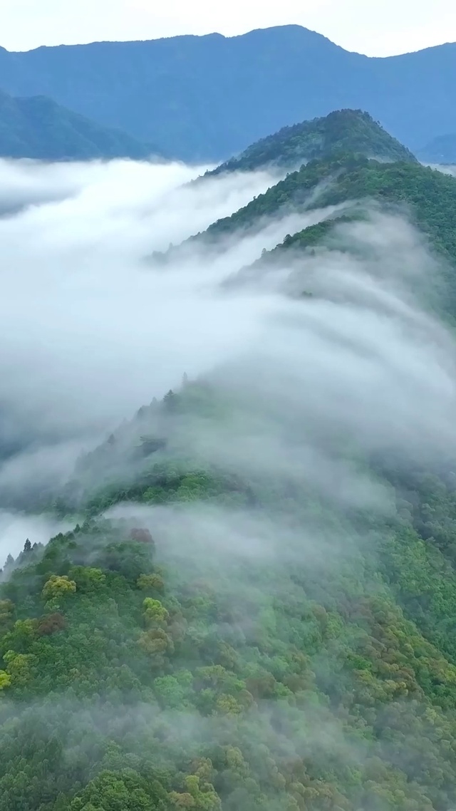 航拍唯美高山云雾