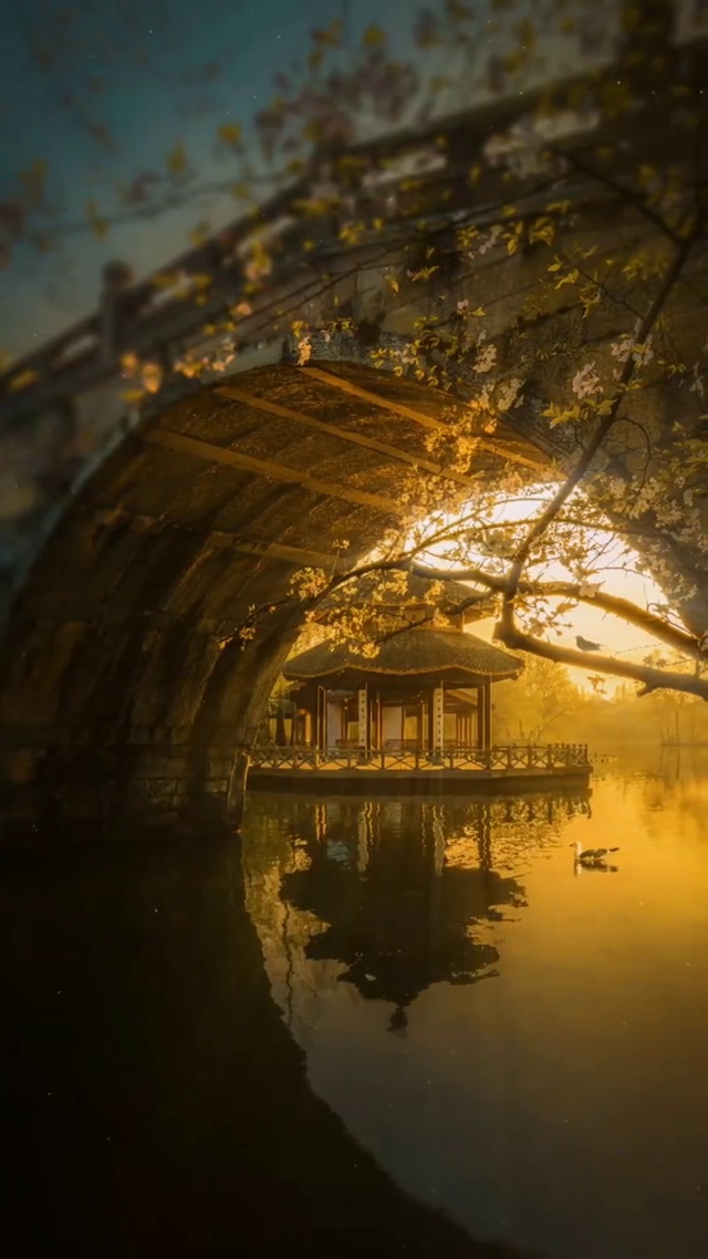 闲看庭前花开花落