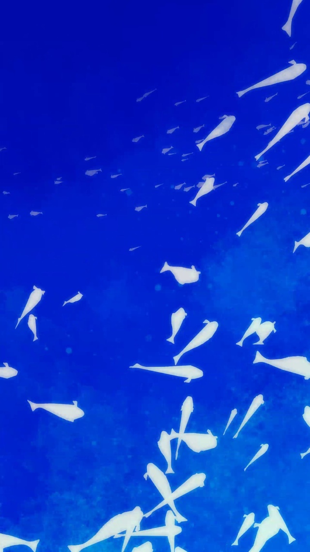梦海集鱼