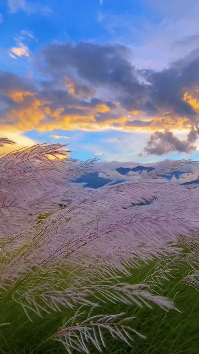 山河远阔，人间烟火，都不及这一刻唯美的落日黄昏和恰好的微风